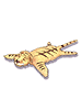 Icon of Tiger Skin