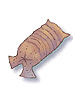 Icon of Earthworm Peeling