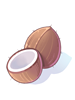 Icon of Coconut