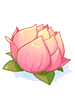 Icon of Charming Lotus
