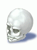 Icon of Wanderer's Skull