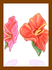 Icon of Hibiscus Box