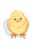 Icon of Chick Hat