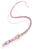 Icon of Phenomena Whip