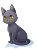 Icon of (c) Black Cat