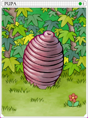 Icon of Pupa Card