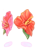 Icon of Hibiscus