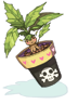 Icon of Mandragora Flowerpot