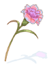 Icon of Magic Carnation