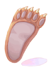 Icon of Bear's Footskin